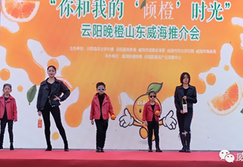 【刘敏模特&精彩展示 】云阳香橙推荐会